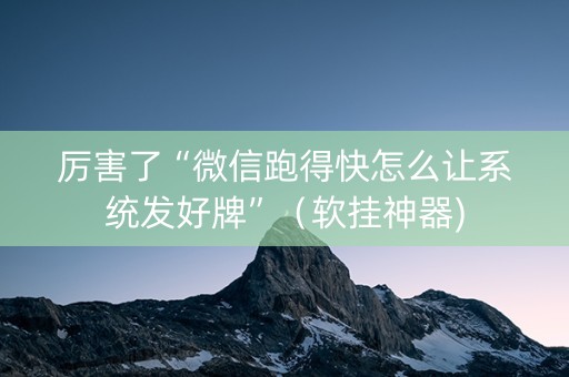 厉害了“微信跑得快怎么让系统发好牌”（软挂神器)