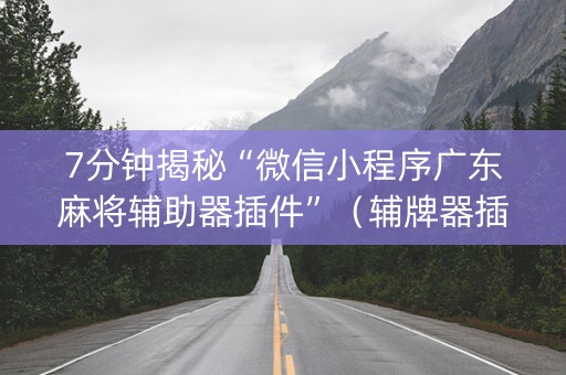 7分钟揭秘“微信小程序广东麻将辅助器插件”（辅牌器插件购买)
