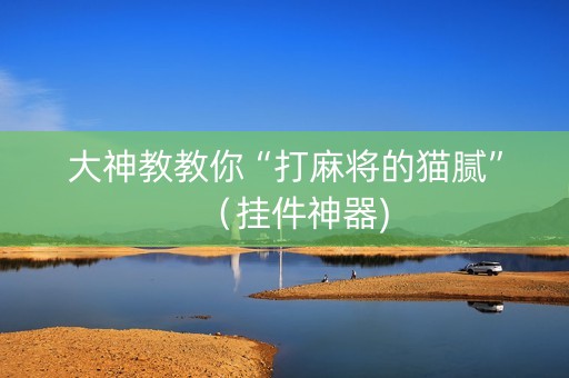 大神教教你“打麻将的猫腻”（挂件神器)
