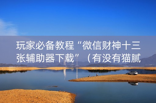 玩家必备教程“微信财神十三张辅助器下载”（有没有猫腻)