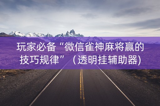玩家必备“微信雀神麻将赢的技巧规律”（透明挂辅助器)