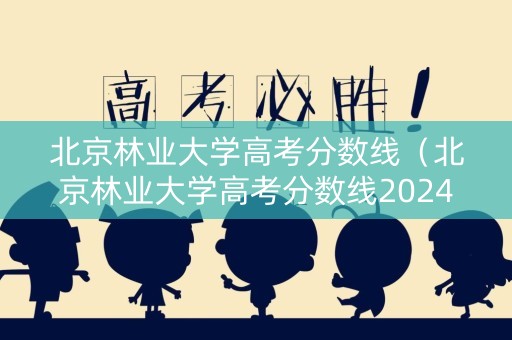 北京林业大学高考分数线（北京林业大学高考分数线2024）