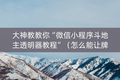 大神教教你“微信小程序斗地主透明器教程”（怎么能让牌好一点)
