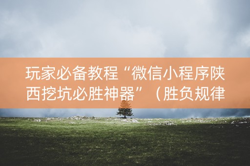 玩家必备教程“微信小程序陕西挖坑必胜神器”（胜负规律拿好牌)