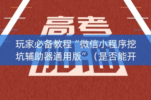 玩家必备教程“微信小程序挖坑辅助器通用版”（是否能开挂)