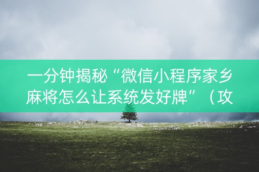 一分钟揭秘“微信小程序家乡麻将怎么让系统发好牌”（攻略插件)