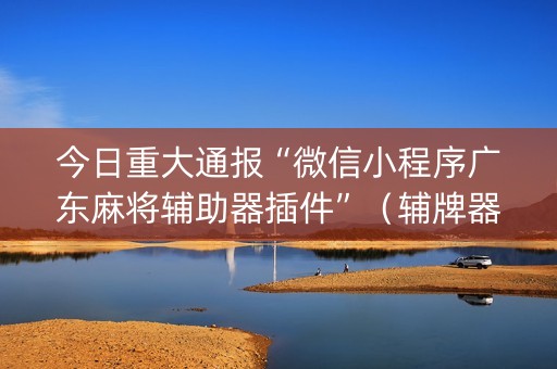 今日重大通报“微信小程序广东麻将辅助器插件”（辅牌器插件购买)