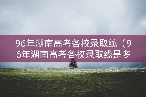96年湖南高考各校录取线（96年湖南高考各校录取线是多少）