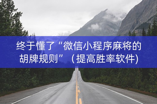 终于懂了“微信小程序麻将的胡牌规则”（提高胜率软件)