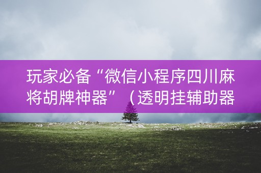 玩家必备“微信小程序四川麻将胡牌神器”（透明挂辅助器)