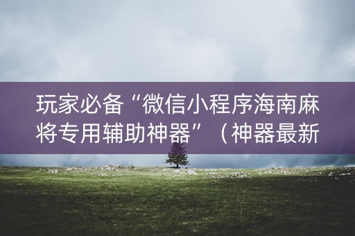 玩家必备“微信小程序海南麻将专用辅助神器”（神器最新免费)