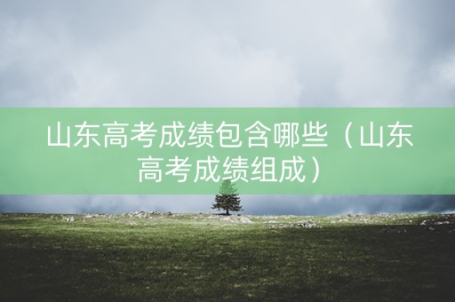 山东高考成绩包含哪些（山东高考成绩组成）