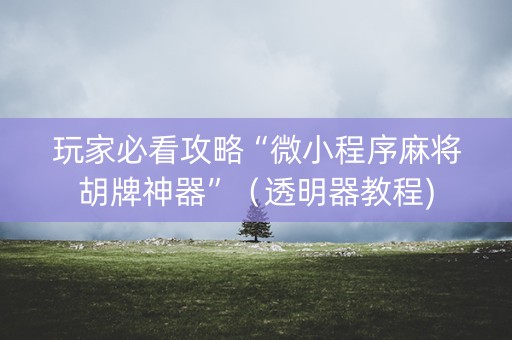玩家必看攻略“微小程序麻将胡牌神器”（透明器教程)