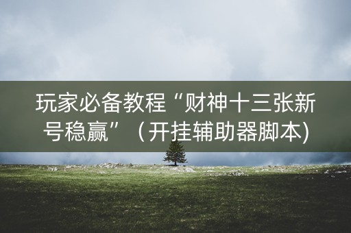 玩家必备教程“财神十三张新号稳赢”（开挂辅助器脚本)