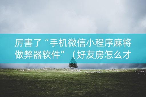 厉害了“手机微信小程序麻将做弊器软件”（好友房怎么才能赢)