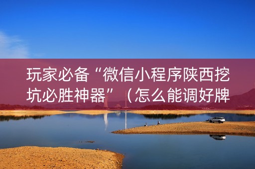 玩家必备“微信小程序陕西挖坑必胜神器”（怎么能调好牌)