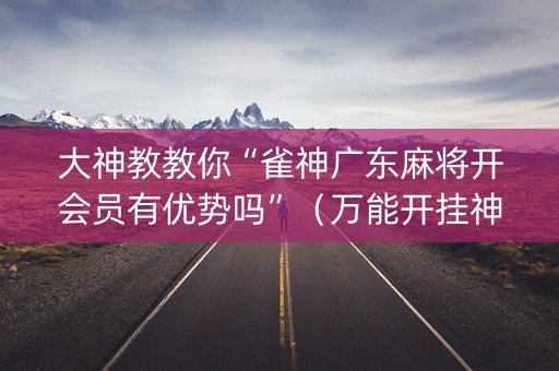 大神教教你“雀神广东麻将开会员有优势吗”（万能开挂神器)