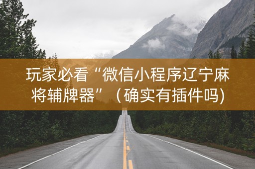 玩家必看“微信小程序辽宁麻将辅牌器”（确实有插件吗)