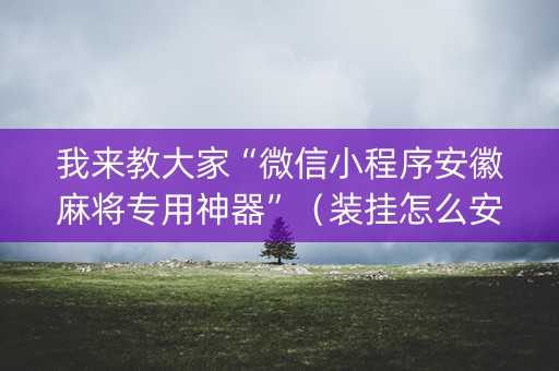 我来教大家“微信小程序安徽麻将专用神器”（装挂怎么安装)