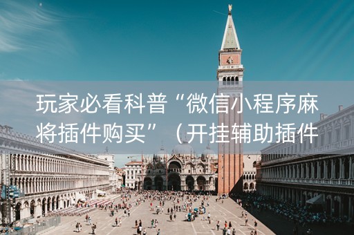 玩家必看科普“微信小程序麻将插件购买”（开挂辅助插件)
