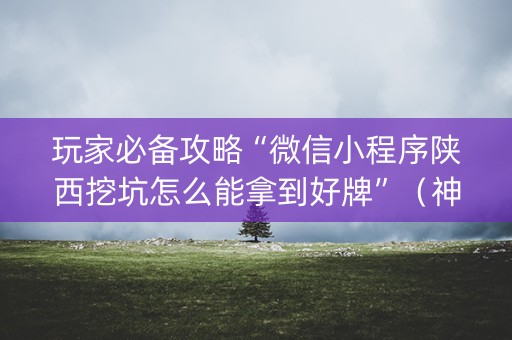 玩家必备攻略“微信小程序陕西挖坑怎么能拿到好牌”（神器通用版)