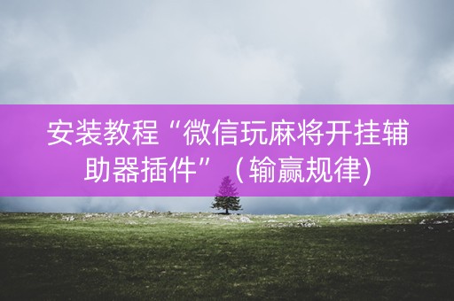 安装教程“微信玩麻将开挂辅助器插件”（输赢规律)