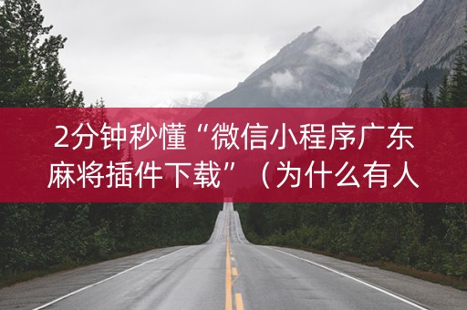 2分钟秒懂“微信小程序广东麻将插件下载”（为什么有人一直赢)