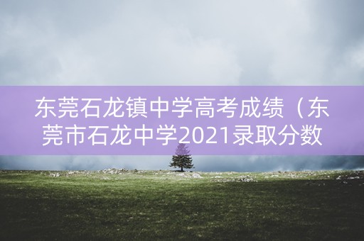东莞石龙镇中学高考成绩（东莞市石龙中学2021录取分数线）