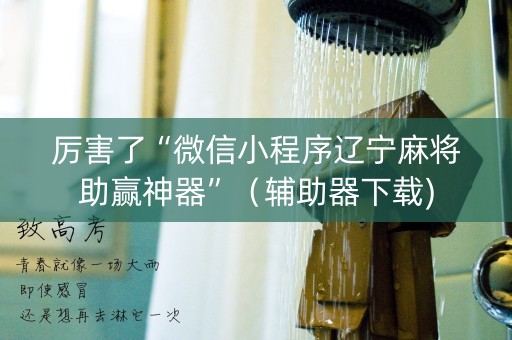 厉害了“微信小程序辽宁麻将助赢神器”（辅助器下载)