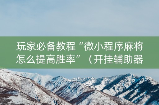 玩家必备教程“微小程序麻将怎么提高胜率”（开挂辅助器插件)