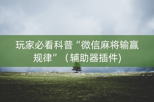 玩家必看科普“微信麻将输赢规律”（辅助器插件)