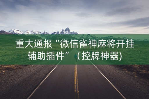 重大通报“微信雀神麻将开挂辅助插件”（控牌神器)
