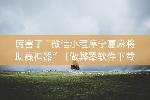 厉害了“微信小程序宁夏麻将助赢神器”（做弊器软件下载)