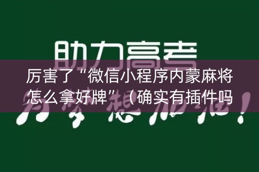 厉害了“微信小程序内蒙麻将怎么拿好牌”（确实有插件吗)