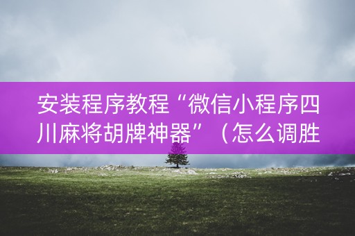 安装程序教程“微信小程序四川麻将胡牌神器”（怎么调胜率)