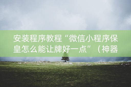 安装程序教程“微信小程序保皇怎么能让牌好一点”（神器最新免费)