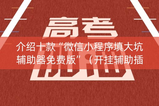 介绍十款“微信小程序填大坑辅助器免费版”（开挂辅助插件)