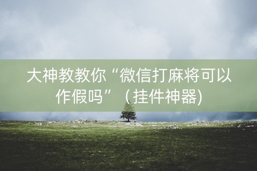 大神教教你“微信打麻将可以作假吗”（挂件神器)