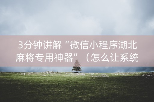3分钟讲解“微信小程序湖北麻将专用神器”（怎么让系统给你发好牌)
