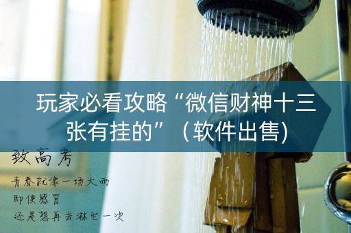 玩家必看攻略“微信财神十三张有挂的”（软件出售)