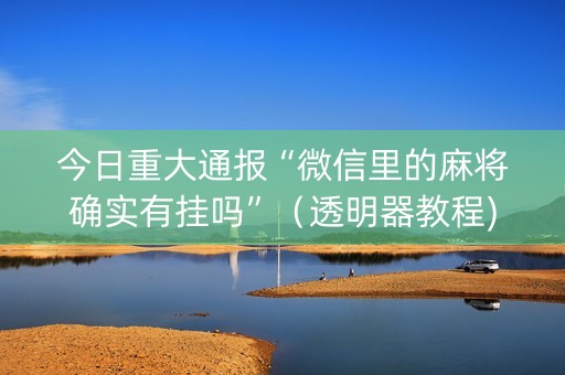 今日重大通报“微信里的麻将确实有挂吗”（透明器教程)