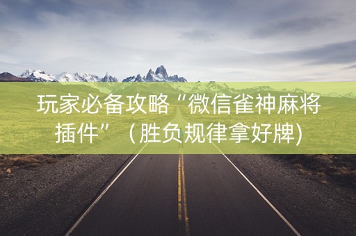 玩家必备攻略“微信雀神麻将插件”（胜负规律拿好牌)