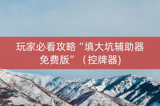 玩家必看攻略“填大坑辅助器免费版”（控牌器)