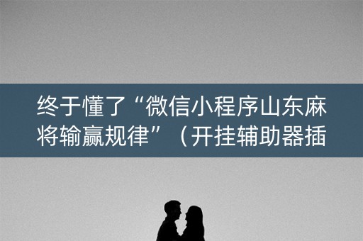 终于懂了“微信小程序山东麻将输赢规律”（开挂辅助器插件)