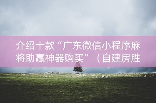 介绍十款“广东微信小程序麻将助赢神器购买”（自建房胜负规律)