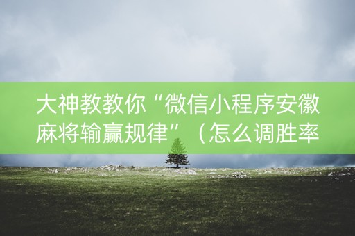 大神教教你“微信小程序安徽麻将输赢规律”（怎么调胜率)