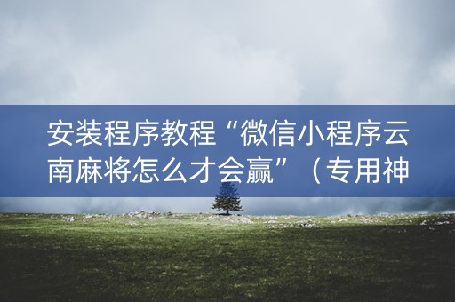 安装程序教程“微信小程序云南麻将怎么才会赢”（专用神器)