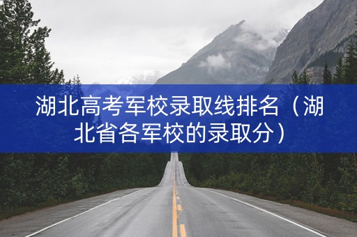 湖北高考军校录取线排名（湖北省各军校的录取分）
