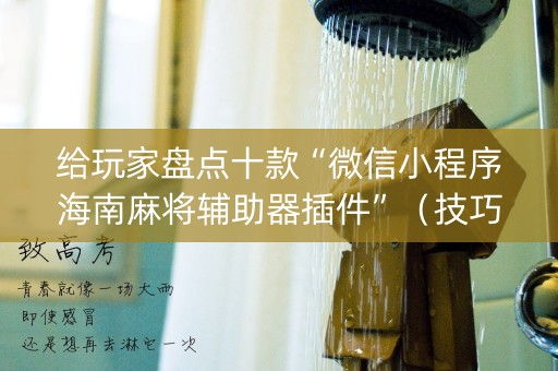 给玩家盘点十款“微信小程序海南麻将辅助器插件”（技巧和打好牌方法)