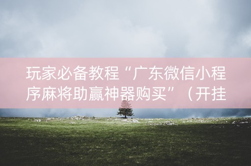 玩家必备教程“广东微信小程序麻将助赢神器购买”（开挂辅助器脚本)